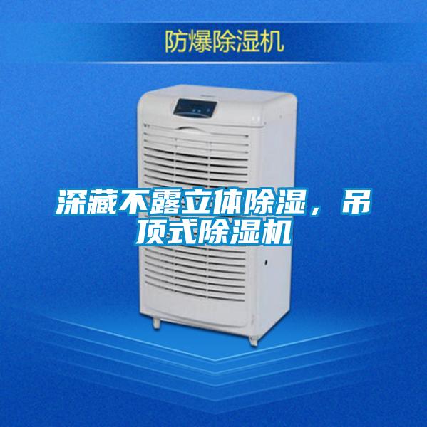深藏不露立體除濕，吊頂式除濕機