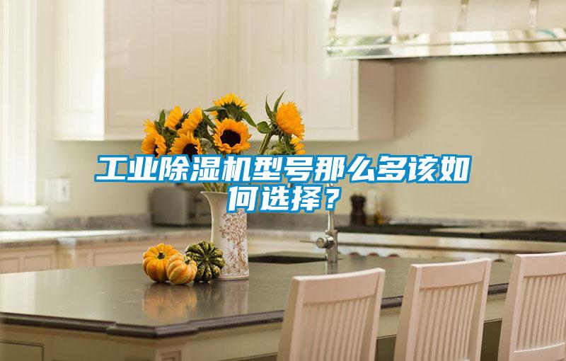 工業(yè)除濕機(jī)型號那么多該如何選擇？