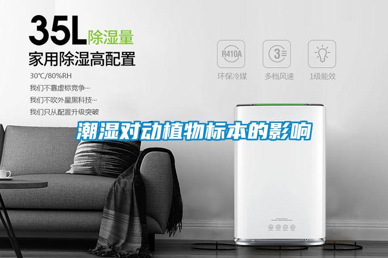 潮濕對動植物標(biāo)本的影響
