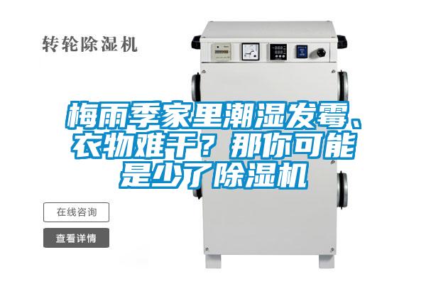 梅雨季家里潮濕發(fā)霉、衣物難干？那你可能是少了除濕機(jī)