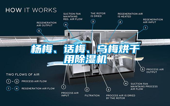 楊梅、話梅、烏梅烘干用除濕機(jī)