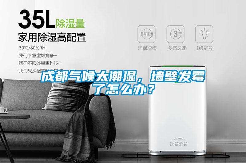 成都?xì)夂蛱睗瘢瑝Ρ诎l(fā)霉了怎么辦？