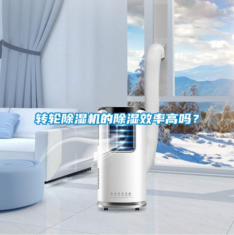 轉輪除濕機的除濕效率高嗎？