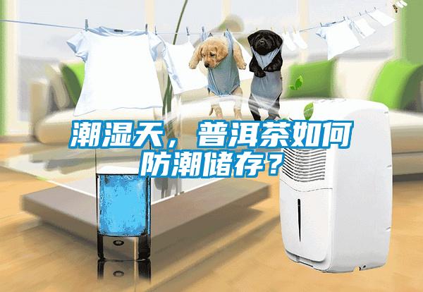 潮濕天，普洱茶如何防潮儲存？