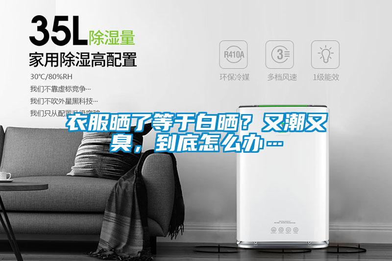 衣服曬了等于白曬？又潮又臭，到底怎么辦…