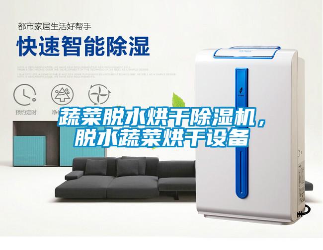 蔬菜脫水烘干除濕機，脫水蔬菜烘干設備