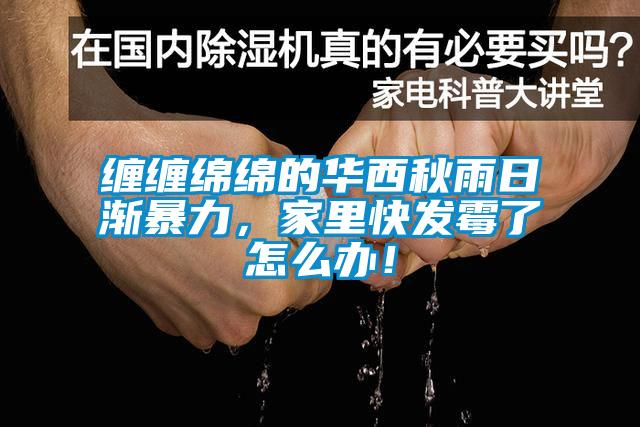 纏纏綿綿的華西秋雨日漸暴力，家里快發(fā)霉了怎么辦！
