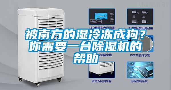 被南方的濕冷凍成狗？你需要一臺除濕機(jī)的幫助
