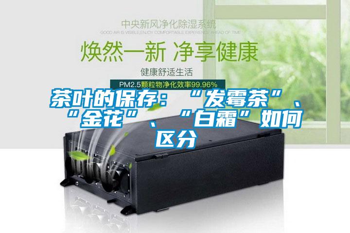 茶葉的保存：“發霉茶”、“金花”、“白霜”如何區分