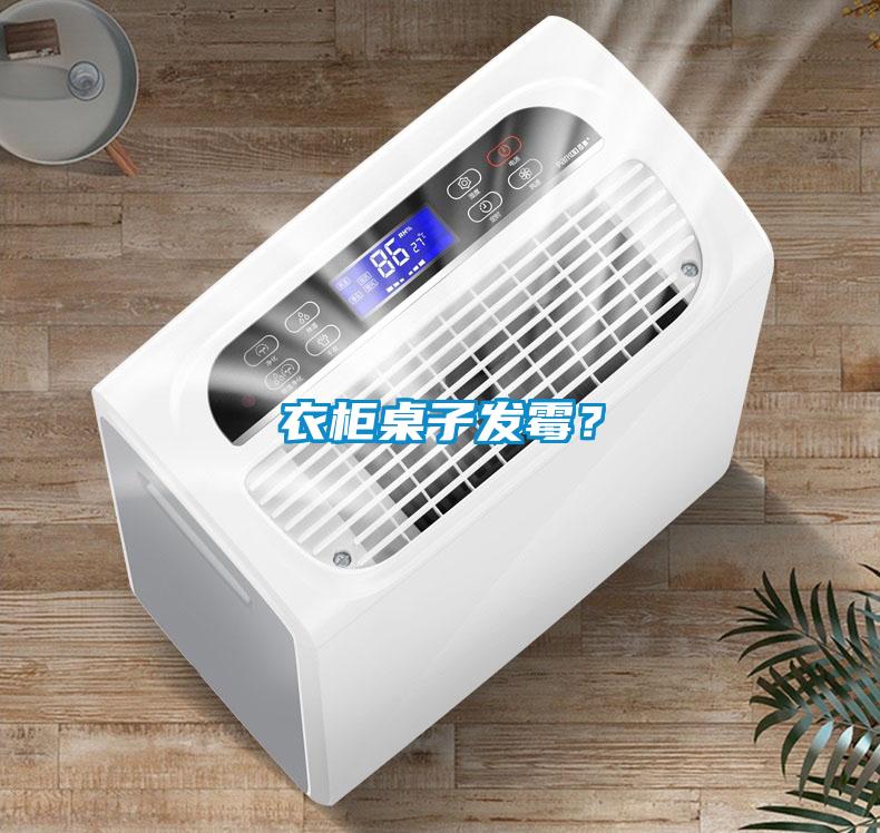 衣柜桌子發霉？
