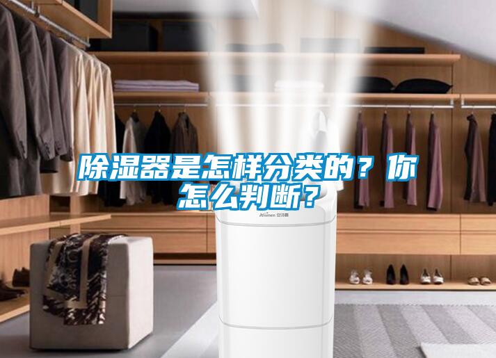 除濕器是怎樣分類的？你怎么判斷？