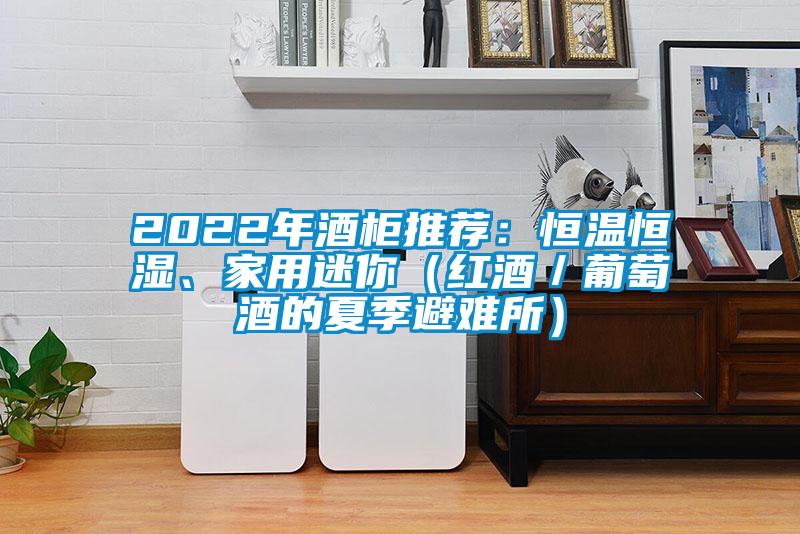 2022年酒柜推薦：恒溫恒濕、家用迷你（紅酒／葡萄酒的夏季避難所）