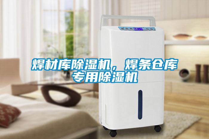 焊材庫(kù)除濕機(jī)，焊條倉(cāng)庫(kù)專(zhuān)用除濕機(jī)