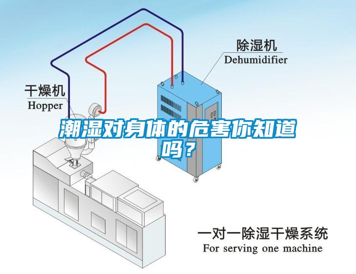 潮濕對身體的危害你知道嗎？