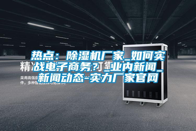 熱點：除濕機廠家_如何實戰(zhàn)電子商務？_業(yè)內新聞_新聞動態(tài)-實力廠家官網