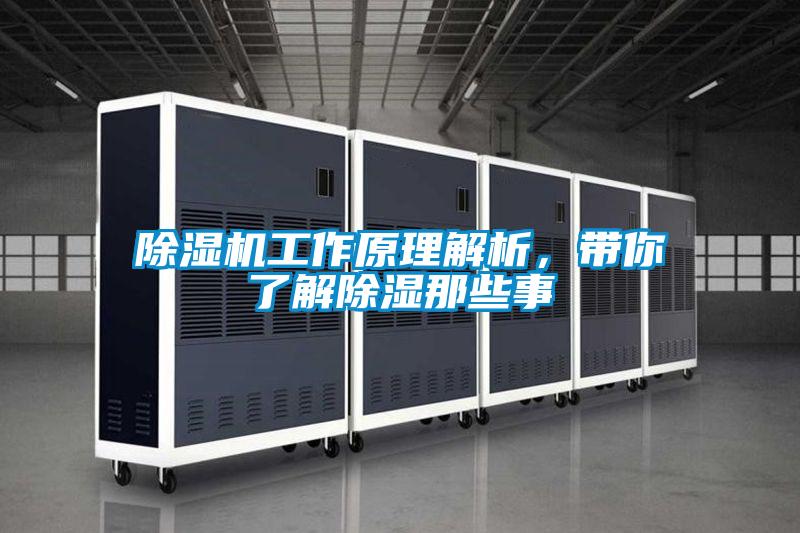 除濕機工作原理解析，帶你了解除濕那些事