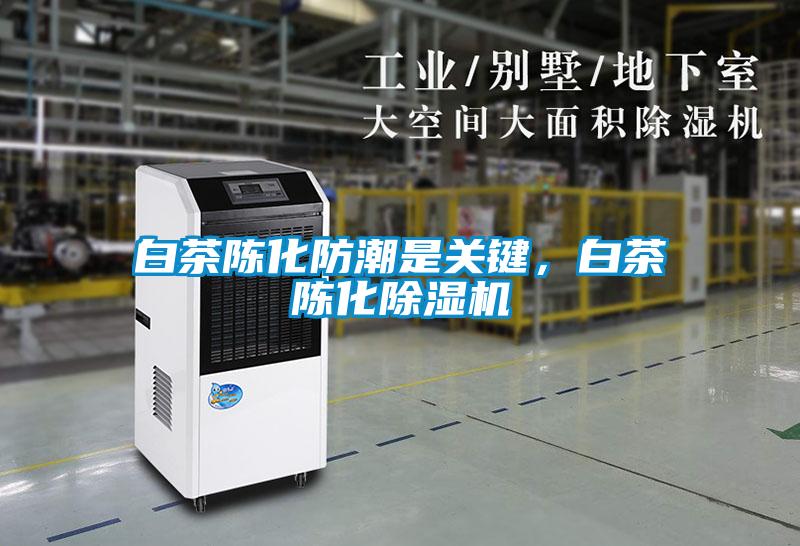 白茶陳化防潮是關(guān)鍵，白茶陳化除濕機(jī)
