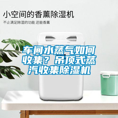 車間水蒸氣如何收集？吊頂式蒸汽收集除濕機