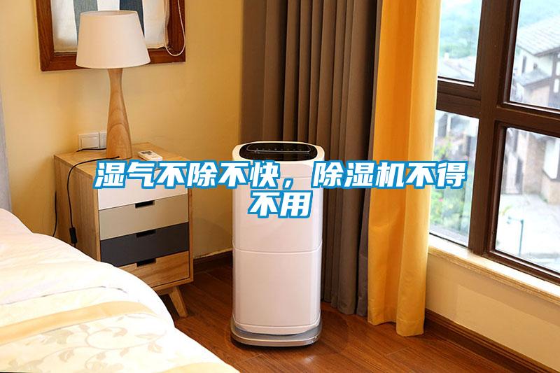 濕氣不除不快，除濕機不得不用