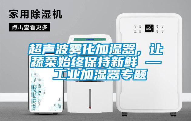 超聲波霧化加濕器，讓蔬菜始終保持新鮮 — 工業(yè)加濕器專題
