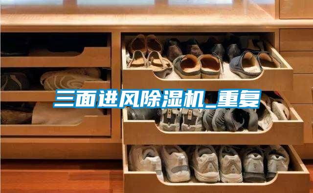 三面進(jìn)風(fēng)除濕機(jī)_重復(fù)