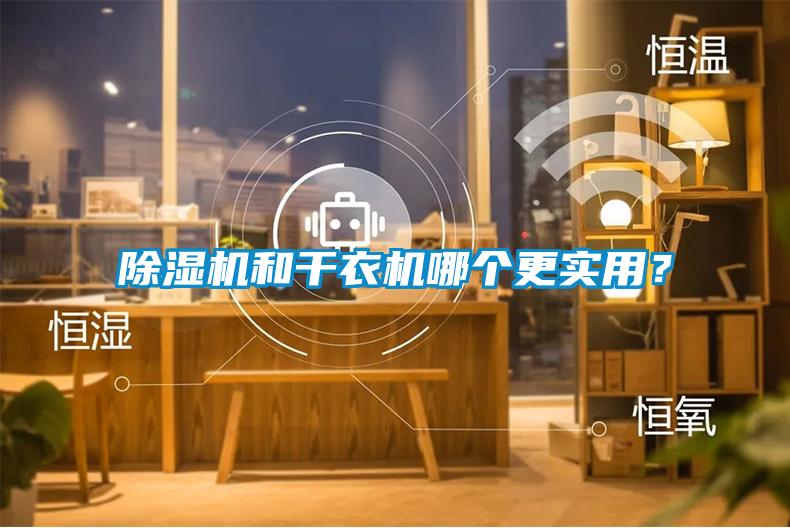 除濕機和干衣機哪個更實用？