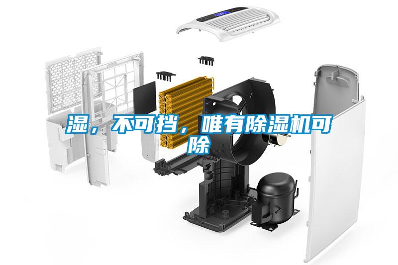 濕，不可擋，唯有除濕機可除