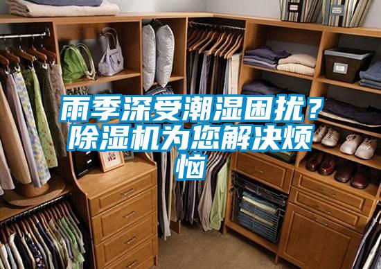 雨季深受潮濕困擾？除濕機為您解決煩惱