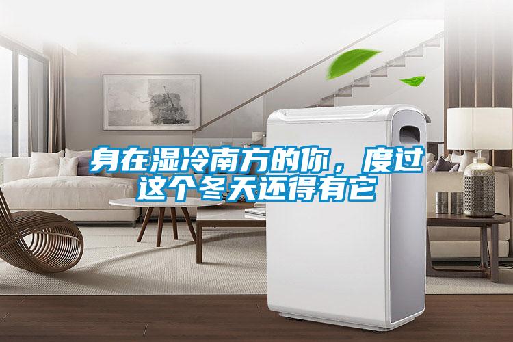 身在濕冷南方的你，度過這個冬天還得有它
