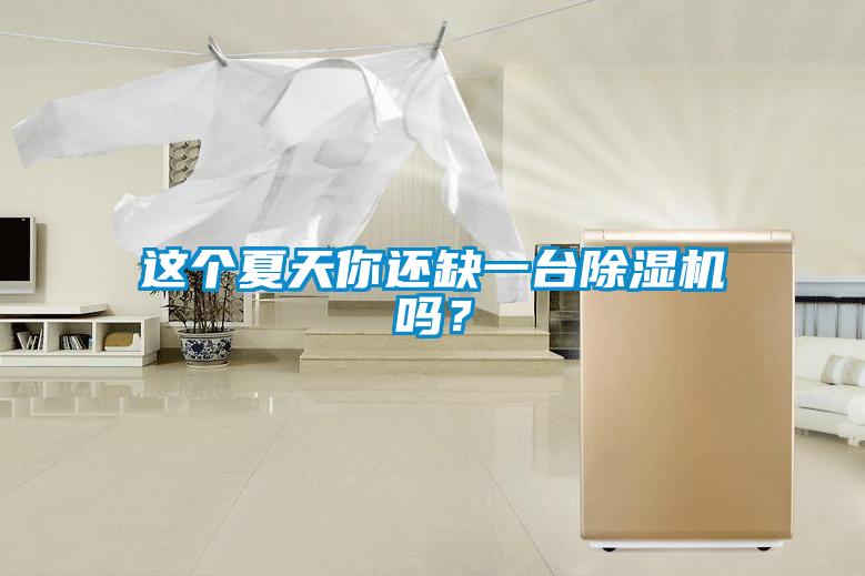 這個夏天你還缺一臺除濕機嗎？