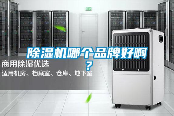 除濕機哪個品牌好啊？