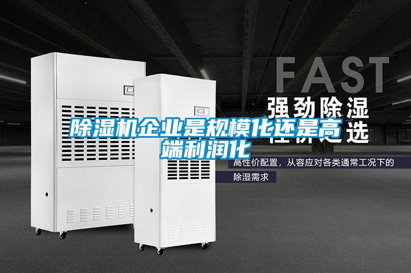 除濕機企業(yè)是規(guī)模化還是高端利潤化