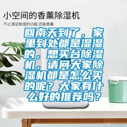 回南天到了，家里到處都是濕濕的，想買臺除濕機，請問大家除濕機都是怎么買的呢？大家有什么好的推薦嗎？
