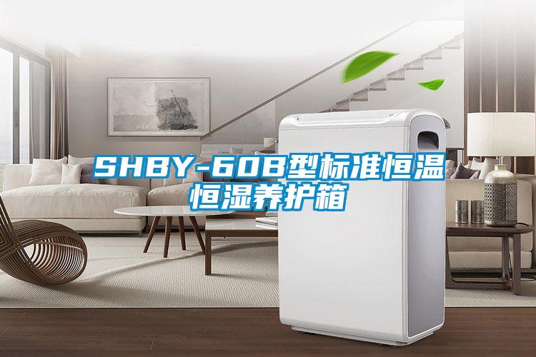 SHBY-60B型標準恒溫恒濕養護箱