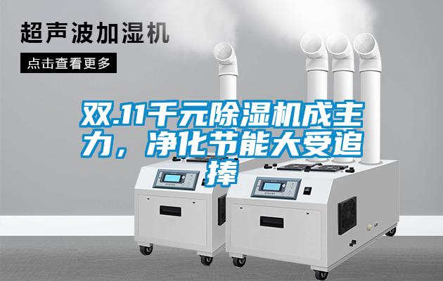 雙.11千元除濕機成主力，凈化節(jié)能大受追捧