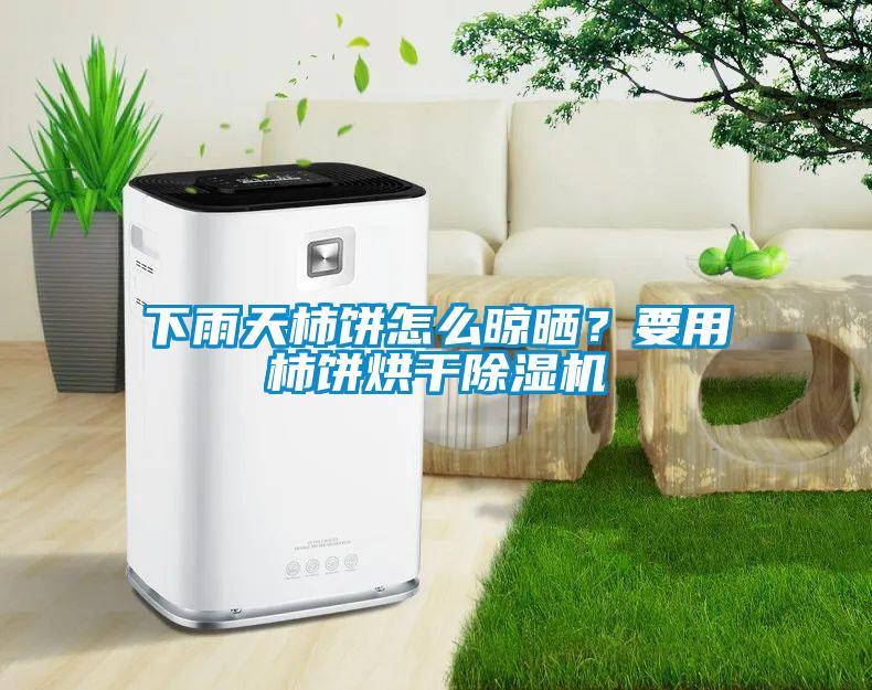 下雨天柿餅怎么晾曬？要用柿餅烘干除濕機