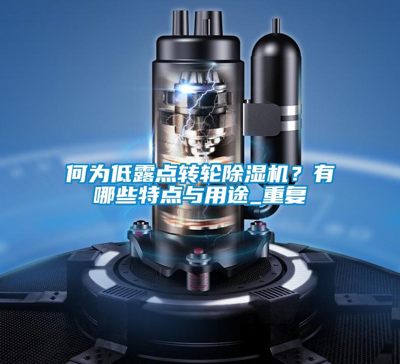 何為低露點轉(zhuǎn)輪除濕機(jī)？有哪些特點與用途_重復(fù)