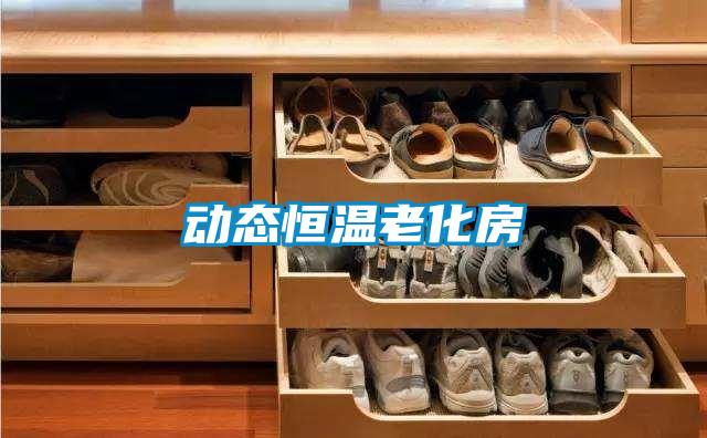 動態(tài)恒溫老化房