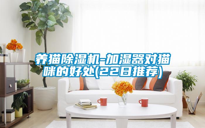 養(yǎng)貓除濕機-加濕器對貓咪的好處(22日推薦)