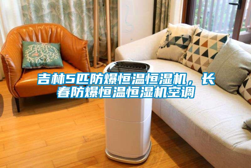 吉林5匹防爆恒溫恒濕機(jī)，長(zhǎng)春防爆恒溫恒濕機(jī)空調(diào)