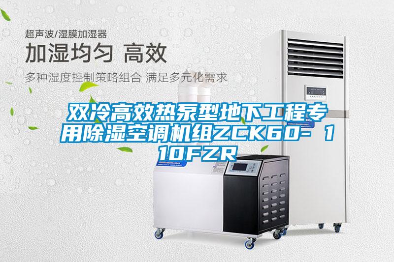 雙冷高效熱泵型地下工程專(zhuān)用除濕空調(diào)機(jī)組ZCK60- 110FZR