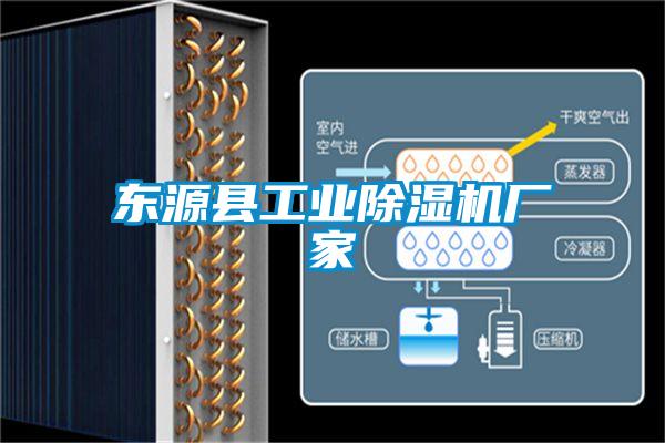 東源縣工業(yè)除濕機(jī)廠家