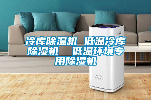 冷庫除濕機(jī) 低溫冷庫除濕機(jī) 低溫環(huán)境專用除濕機(jī)