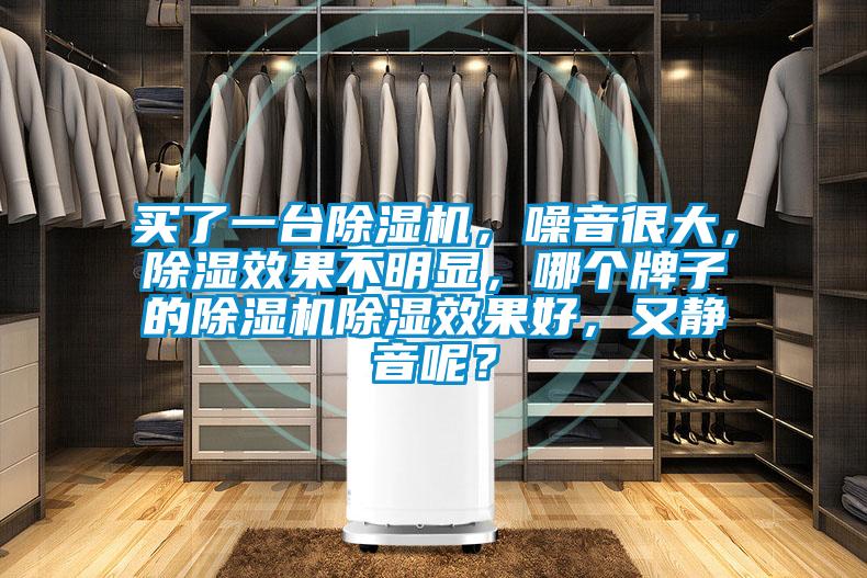 買了一臺除濕機，噪音很大，除濕效果不明顯，哪個牌子的除濕機除濕效果好，又靜音呢？