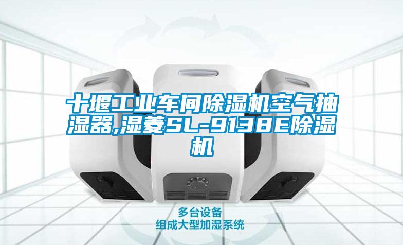 十堰工業車間除濕機空氣抽濕器,濕菱SL-9138E除濕機
