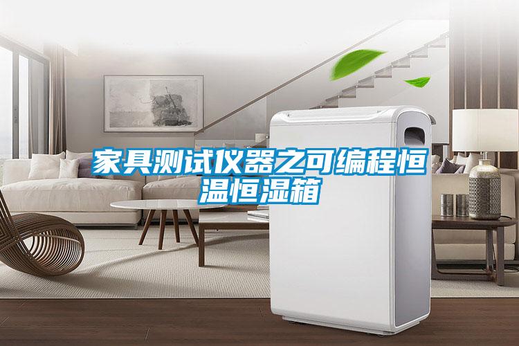 家具測(cè)試儀器之可編程恒溫恒濕箱