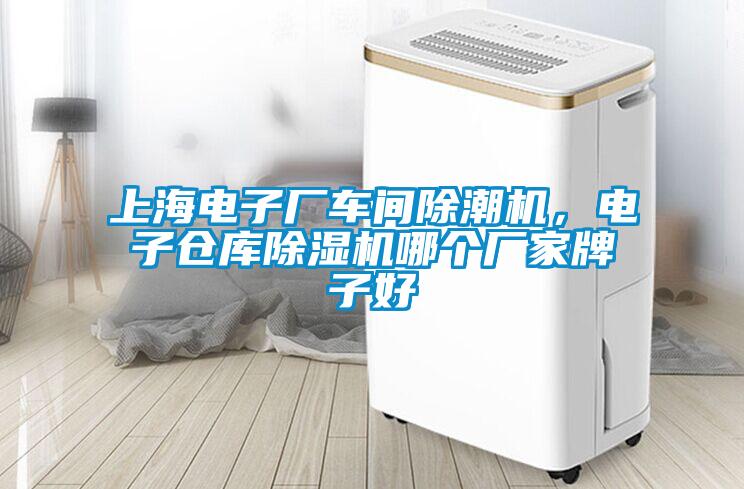 上海電子廠車(chē)間除潮機(jī)，電子倉(cāng)庫(kù)除濕機(jī)哪個(gè)廠家牌子好