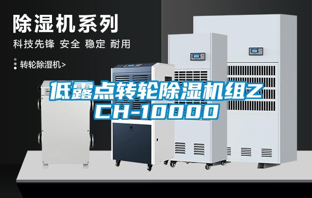低露點轉(zhuǎn)輪除濕機(jī)組ZCH-10000