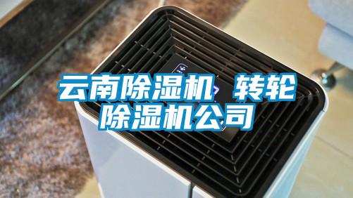 云南除濕機(jī) 轉(zhuǎn)輪除濕機(jī)公司