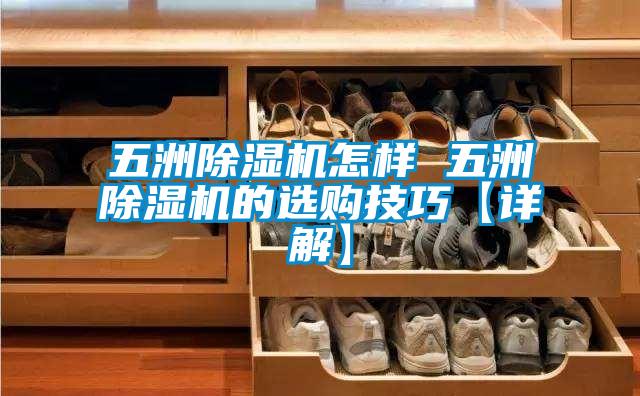 五洲除濕機(jī)怎樣 五洲除濕機(jī)的選購(gòu)技巧【詳解】